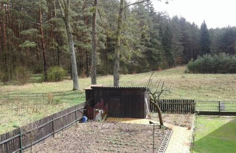 Uroczysko Ostoja - Foto 8