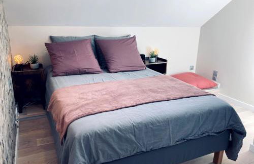 La bulle des Viennes MAISON CLIMATISEE - CHAMPAGNE - Foto 15