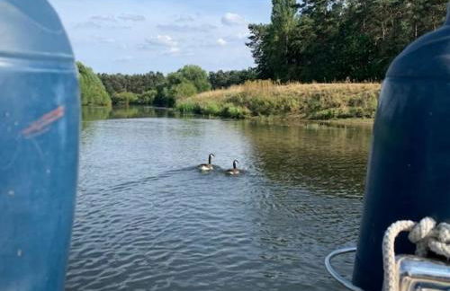 Amazing Holiday Home Near the Lake - Foto 53