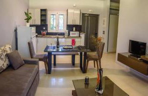 Ionion Beach Apartment Hotel & Spa - Foto 107