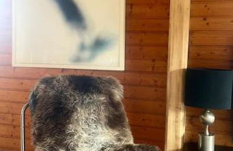 Chalet de charme - vue panoramique - Photo 3