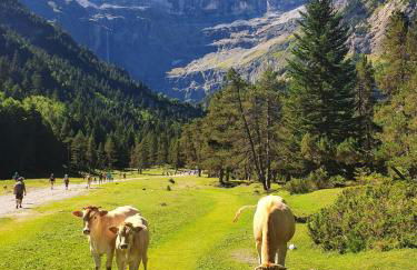 Séjour d'Exception - Villa 4 Suites Vue Cascade - Foto 6