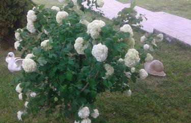 Hotel-Apartments La Strada - Foto 120