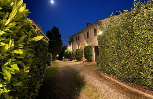 Fattoria Di Pancole - Foto 29