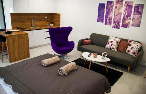 Apartments Lisinski - FREE parking - Foto 74