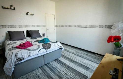 Grand appartement de haut standing en centre-ville - Foto 7