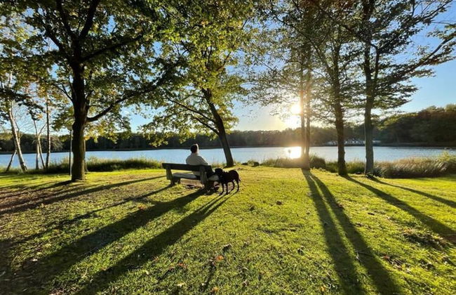 Bright Holiday Home in Lanaken near Lake with Garden - Foto 45