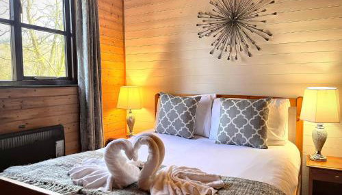 Goldcrest 1-Hot Tub-Woodland Lodges-Carmarthenshire-Tenby - Foto 4