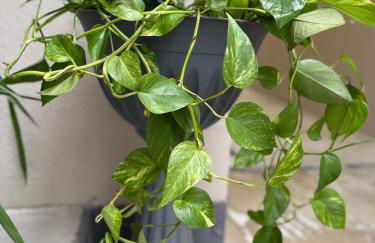 Alla Posta Family House - Foto 10