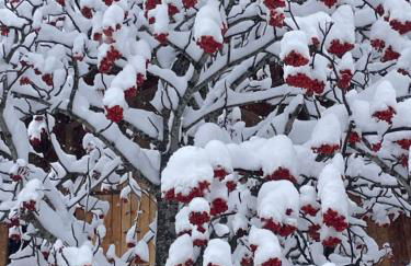 Chalet L'Eider - Foto 16