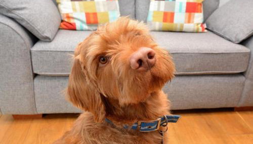 1 Bed in Lyme Regis oc-41563 - Foto 5, Other