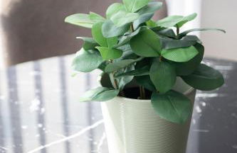 Apartments of Penzance - Foto 73