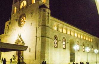 Le camelie - Foto 42