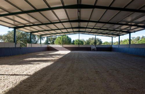 Herdade das Onzenas de Cima - Foto 19