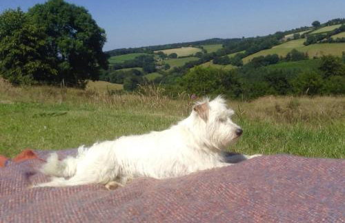 The Piggery Dulverton - Foto 35