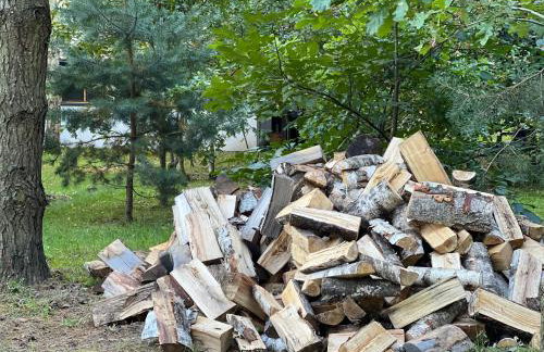 Ackermannia - Foto 62