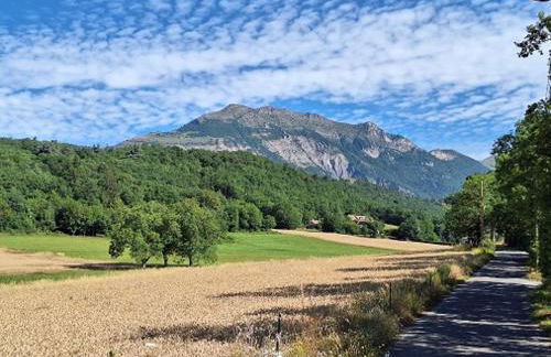 Le boisnheur - Foto 14