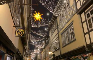 Für Gruppen und Familien - große Ferienwohnung Nähe Stadtpark, 4 Schlafzimmer, 2 Bäder, Terrasse, Parkplatz - Foto 38