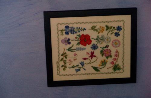 Casa da Ti Cura - Foto 65