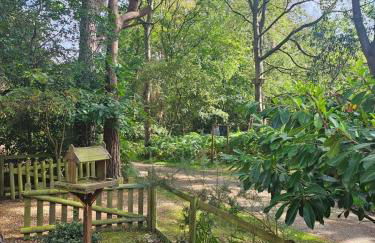 Fawn Lodge, Kelling Heath - Woodland Setting and Pets Welcome - Photo 41