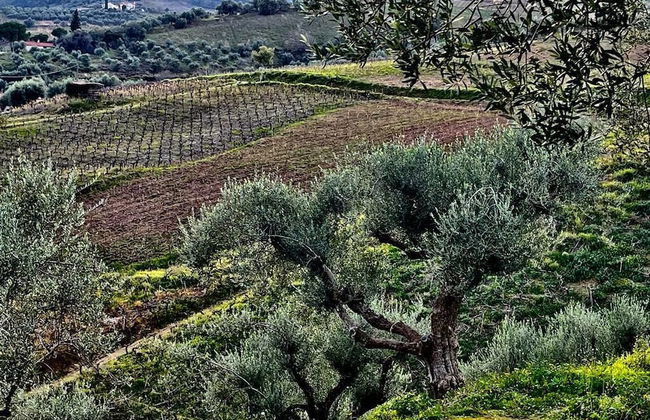 Gero-fotis Guesthouse - Upper Floor Superb View - Foto 39
