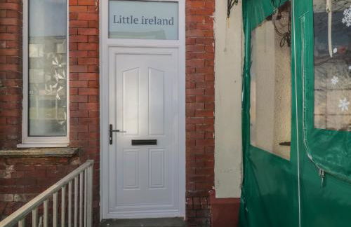 Little Ireland - Photo 2