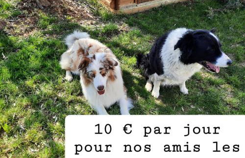 Andreini Patricia et Bruno - Foto 8