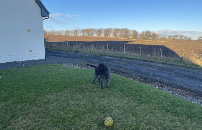 Fabulous Open Plan Studio Retreat - Cowdenbeath - Foto 26