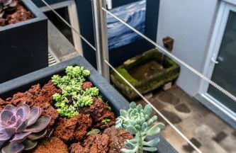 Sunrise - Casa Sao Joao - 4 Star Tourist Apartments - Photo 37