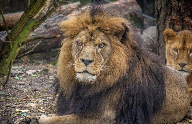 Luxurious 2-bed Apartment in Maidstone Kent - Foto 19