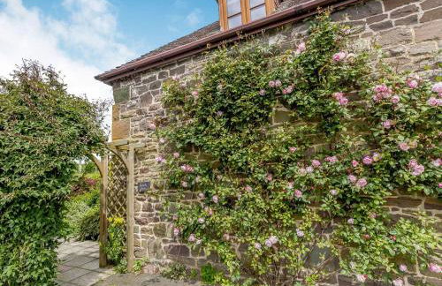 Robin's Nest - Foto 35