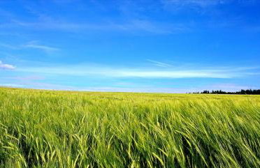 Schöne EinliegerWhg (74m²) in Villa mit Traumlage - Foto 53