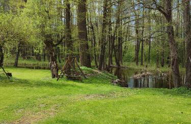 Gościniec Kotowina - Foto 17