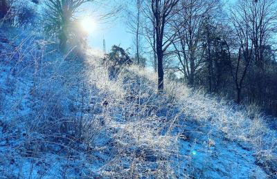 Gasthof zur Sägemühle - Foto 33