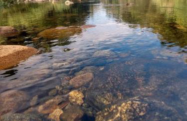 Casinhas do Rio - Casinha Azul na Floresta - Photo 26