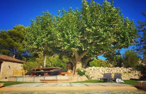 Mas de L Angeos - Foto 8