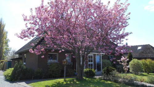 Sunhaus Koch - Foto 2