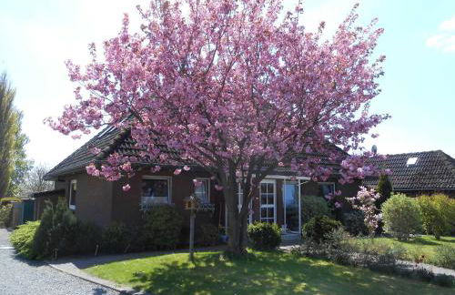 Sunhaus Koch - Foto 2