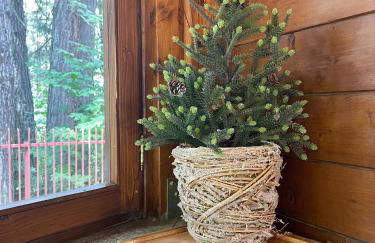 La Veranda nella Neve - Camigliatello Silano - Foto 9