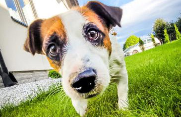 Szary Domek w Karkonoszach - Foto 23