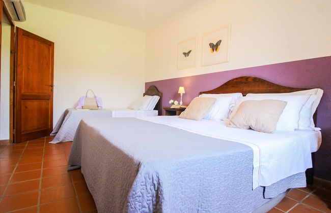 Boschi di Montecalvi - Foto 74