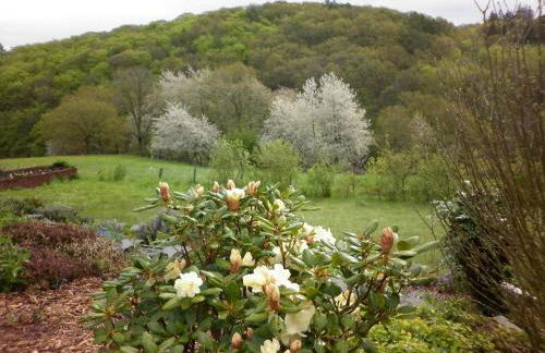 Land des Friedens in Nettersheim / Eifel - Photo 19