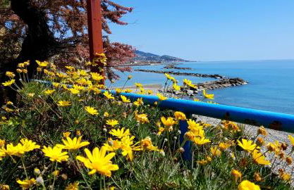 Casa Cornice - Photo 20