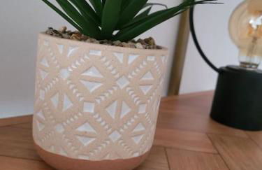 Gîte Animals King'Dôme 8min du Zoo de Beauval - Foto 11