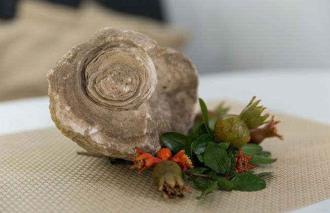 Izvijačica Suite - Foto 18