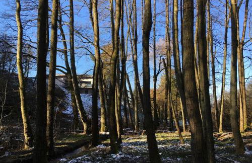 Haagalm Terrasse, Garten - Foto 77