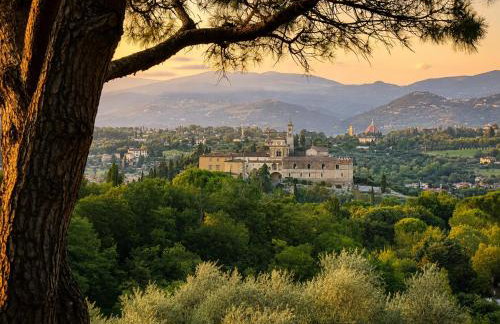 Podere di Montecchio - Foto 77