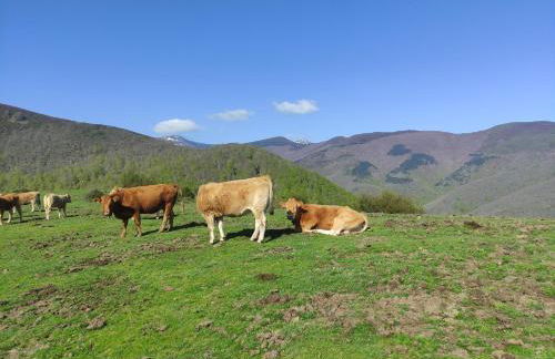 El rincón de Soto - Foto 35