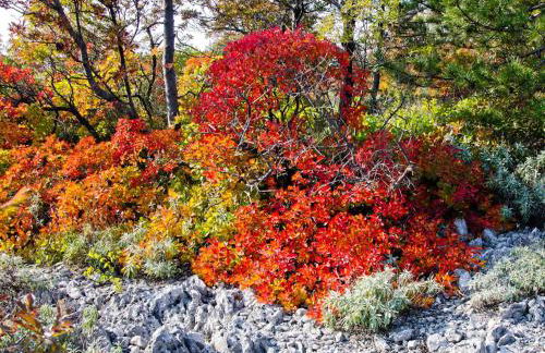 Residence Oliveto Mare Carso - Foto 16