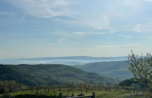 Countryhouse in Tuscany - Foto 45